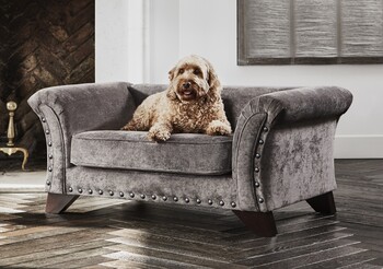 https://ww.prshots.co.uk/contents/archives/194/254/images/thumb350x287_auto/furniture_village_furniture-village-holly-fabric-pet-bed-with-st_74115_thumb.jpg