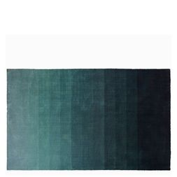 CAPISOLI TEAL RUG RUGDG0403