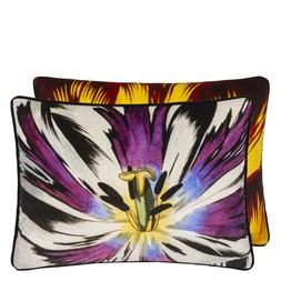 ECLOSION CUSHION CCCL0659