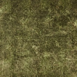 FDG323402 (default)