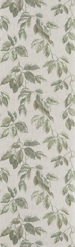 JANGAL_PDG1127_02