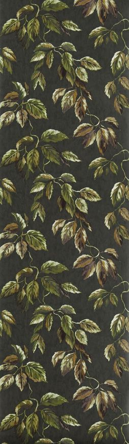 JANGAL_PDG1127_05