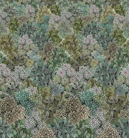 MADHYA_MOSS_PDG1135_01