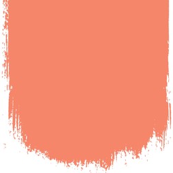 PERSIMMON NO.190