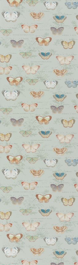 AW23 John Derian F&W Flatshots