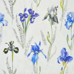 IRIS - AMETHYST