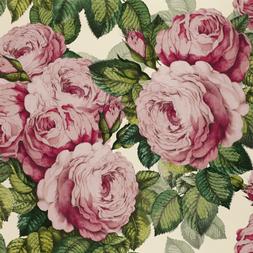 THE ROSE - TUBEROSE