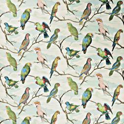 PARROT AVIARY - SKY BLUE