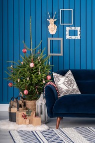 https://ww.prshots.co.uk/contents/archives/2441/1193/images/thumb350x287_auto/michael_murphy_home_furnishing_dsc07949_thumb.jpg