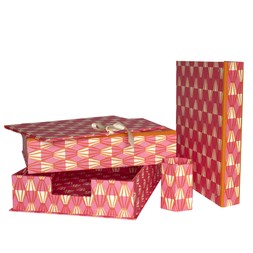 Cambridge Imprint Threadwork Bright Pink and Orange Desk Storage