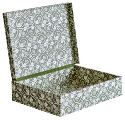 A4 Box File Small Ivy Stripe Sage Green