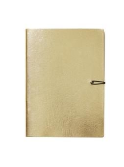Gold Diary