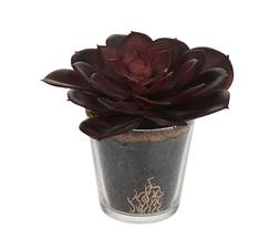 Fake PLant