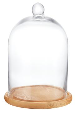 Glass Cloche Dome