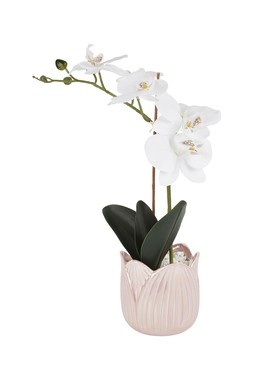 Faux plant &pound;4.99