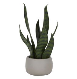 Homesense - Plastic Plant, &pound;7.99