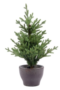 Norway Potted Tree Pre-Lit Outdoor tree 120cm