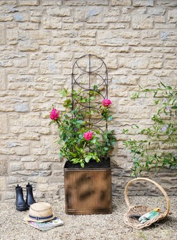 OUTDOOR CYLINDER TRELLIS