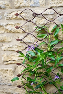 OUTDOOR HONEYCOMB TRELLIS H84CM W62CM