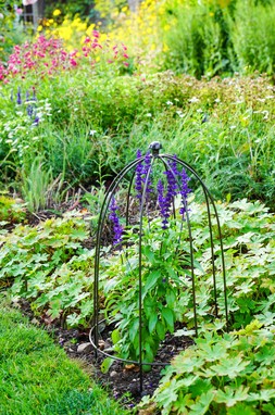 OUTDOOR PLANT SUPPORT ZINC H60CM W36CM