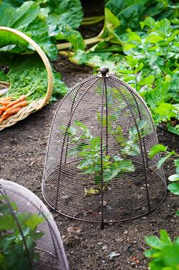 OUTDOOR WIRED PLANT PROTECTOR BRONZE H55CM W47CM