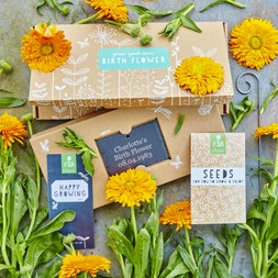 OCTOBER BIRTH FLOWER GIFT BOX