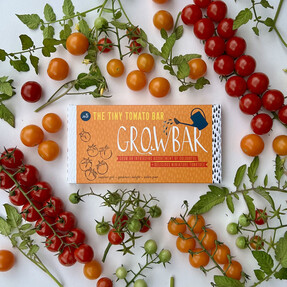 The Tiny Tomato Growbar
