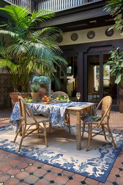 Outdoor Ionia Sapphire & Natural Rug